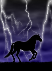 Cavallo nella tempesta