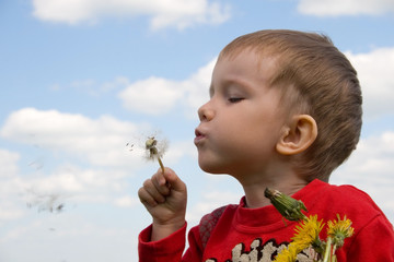 Young boy blowing seeds of a dandelion flower