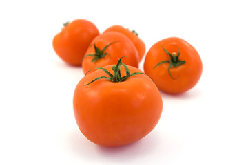 tomatos
