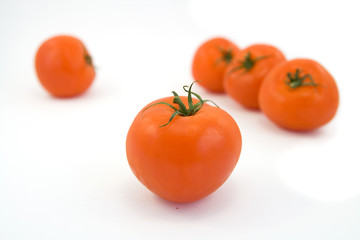 red tomatos