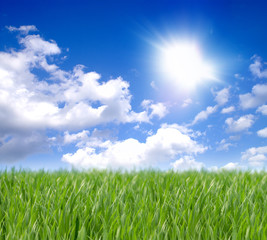 Sommerwetter