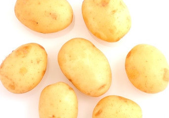 baby potatoes