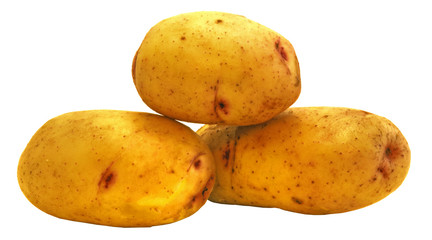 3 potato on a white background
