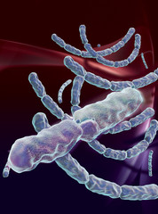 3D rendered conceptualization of Anthrax Bacterial