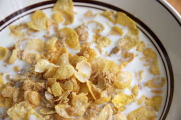 Corn flakes in milk