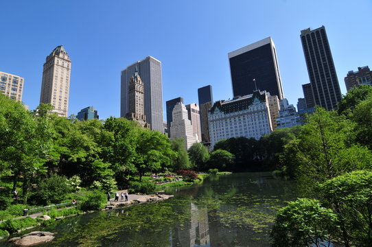 Central Park and skyscraper