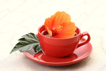 hibiscus tea