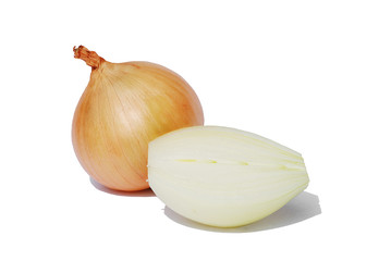 Zwiebel