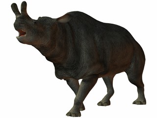 Brontotherium - 3D Dinosaurier