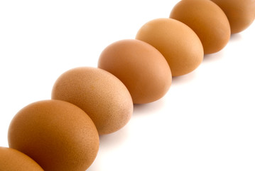 eggs
