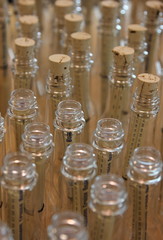 Messages in Bottles