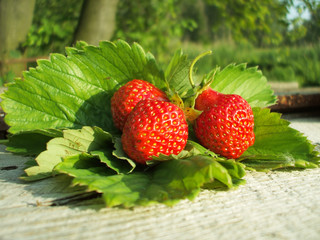 Fresh strawberry