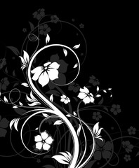 Floral abstraction in black and white colours