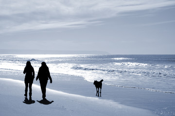 two women walking at the beach in the winter with a dog.