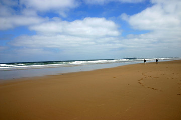 Fototapeta na wymiar Beach at Bamburgh, North East England.
