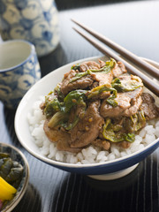 Wok Fried Pork and Ginger Cabbage on Rice