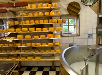 cheese production