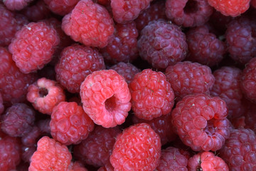 raspberry background