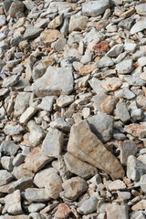 multiple stones - gravel background