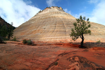Rock formation in Zion national park