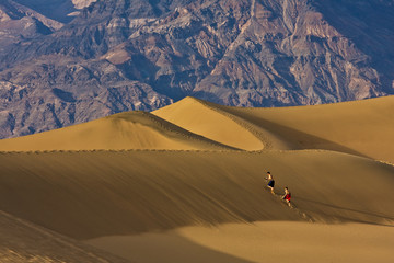 Fototapeta na wymiar desert adventure