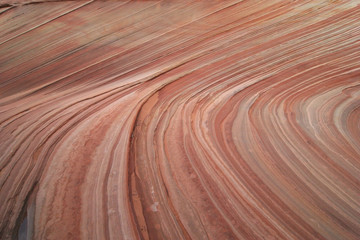 The Wave. Paria Canyon.