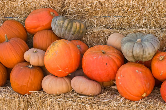 Pumpkins on the haystack