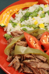 mexican beef plate 