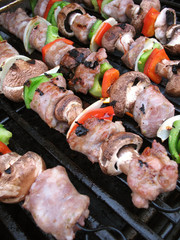 Shish Kebabs on the Grill