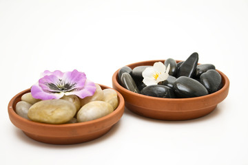 Blumen im Untersetzer