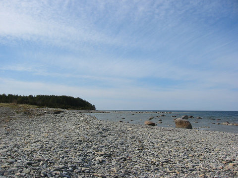 eesti