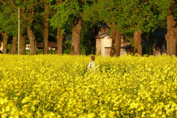 Obraz premium spielende kinder