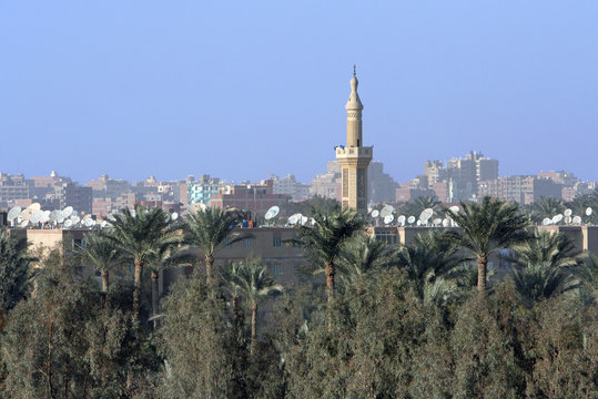 Mosque&eacute; des palmier
