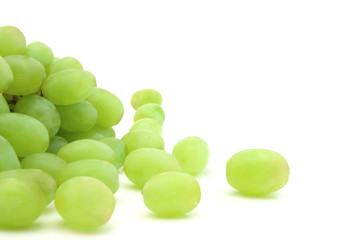 vine grapes