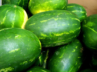 melonen