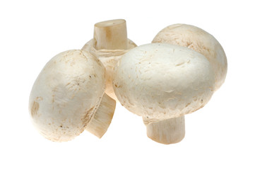 Stack of button mushrooms