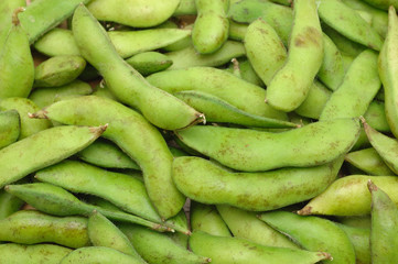 Background of edamame