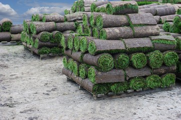 turf farm