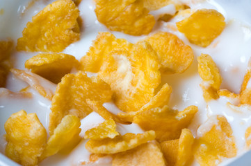 yoghurt with cornflakes.