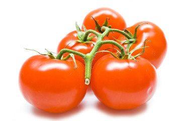 Bunch of fresh tomatoes