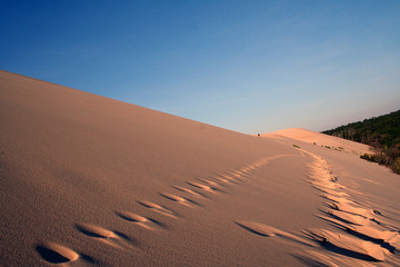 Fototapeta na wymiar dune2