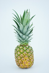 Obraz premium Pineapple