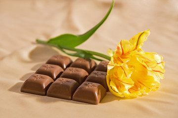 chocolate and tulip