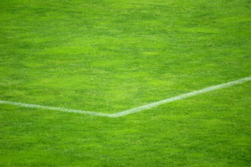 Obraz premium Fussballfeld 2