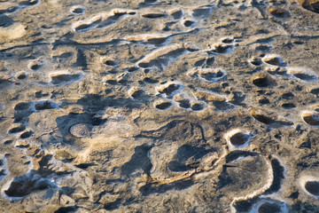 La Jolla Tide Pools