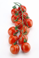 pomodori