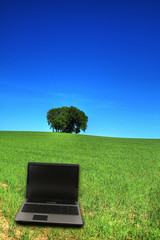 serene grassland and a notebook
