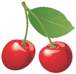 Red cherry isolated on white