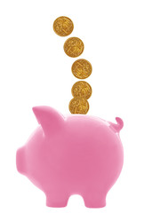 Piggy Bank with Australian Dollars