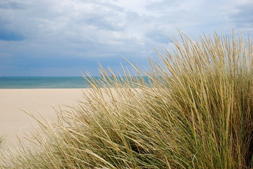 Dunes 3
